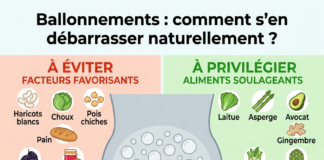 en-finir-avec-les-ballonnements