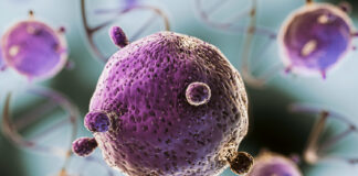 Comment adopter un mode de vie anti cancer ? Comment adopter un mode de vie anti cancer