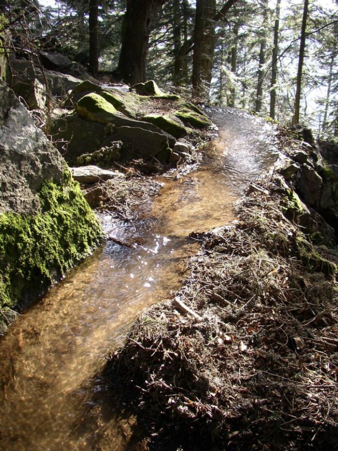 Les biefs du Pilat