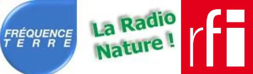 Lectures estivales en Terres de France 20 ft 1