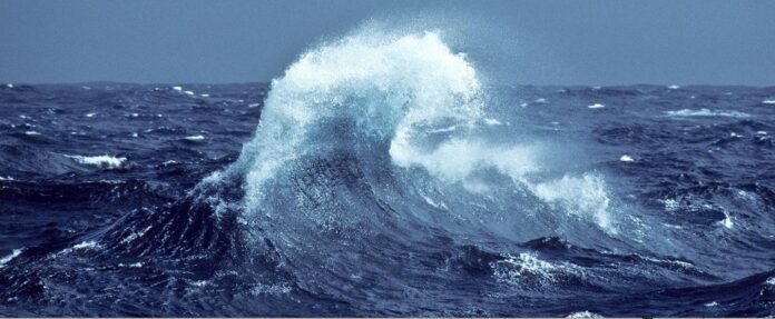 rogue_wave_veronique_sarano