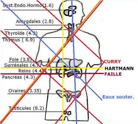 Géobiologie - les ondes magnétiques naturelles vectrices de cancers en cas d'exposition longue. 